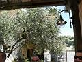 LIGURIAMTB13 (493)